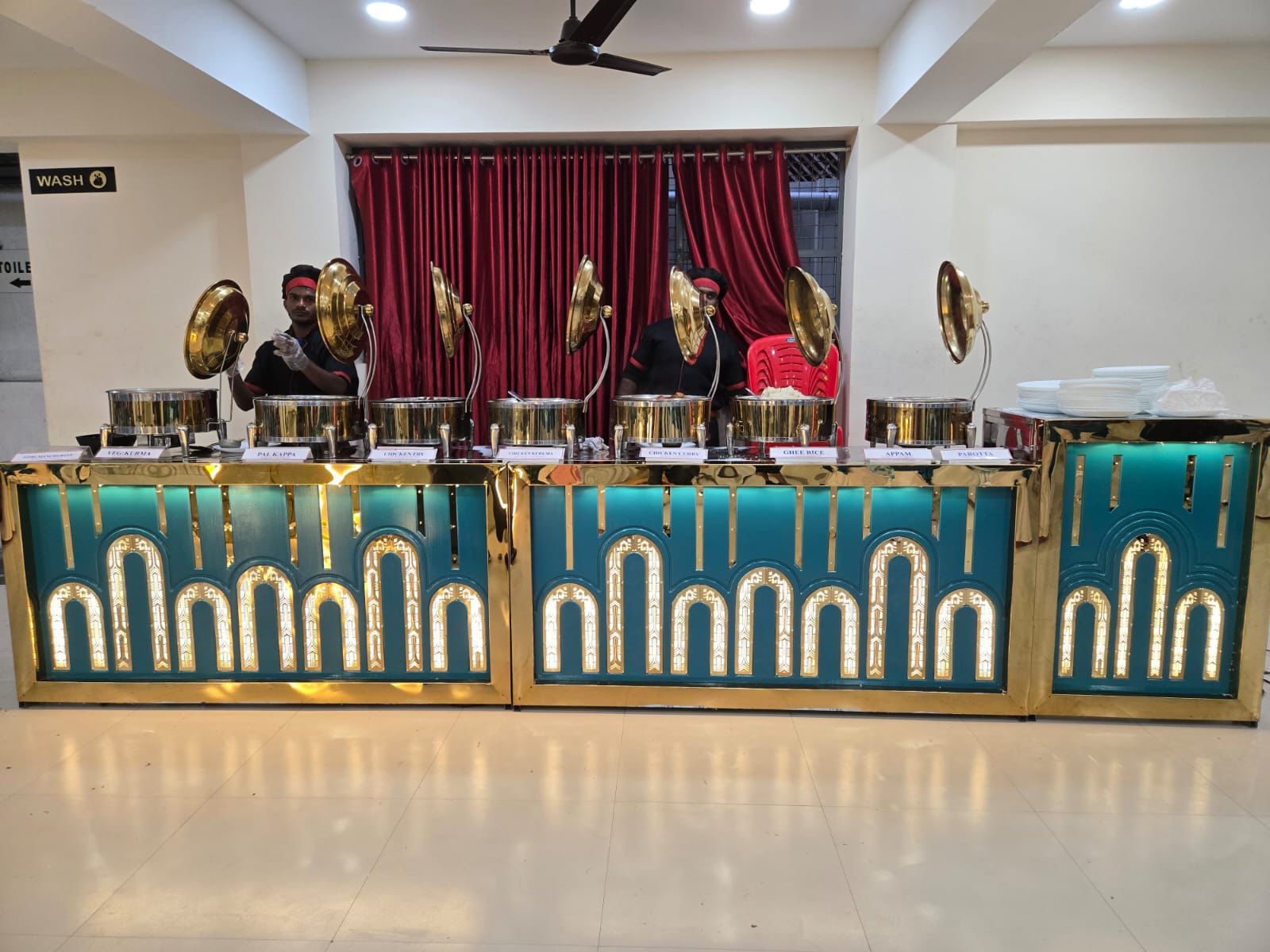 ball cactus ball cactus